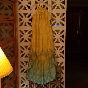 Yellow Green Ombre Dress